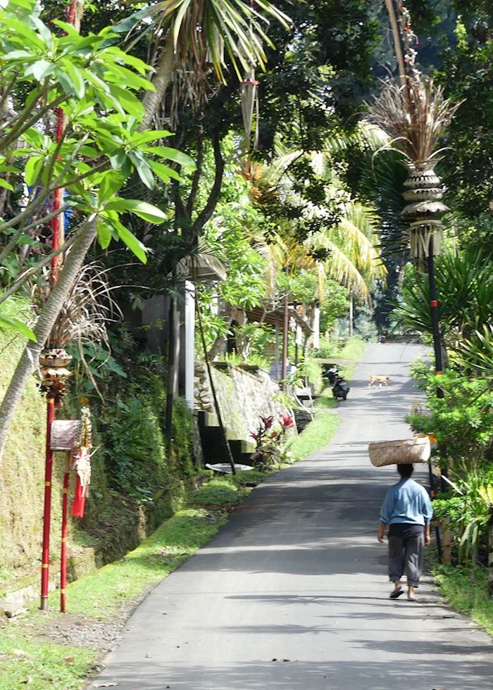 Local life around De Klumpu