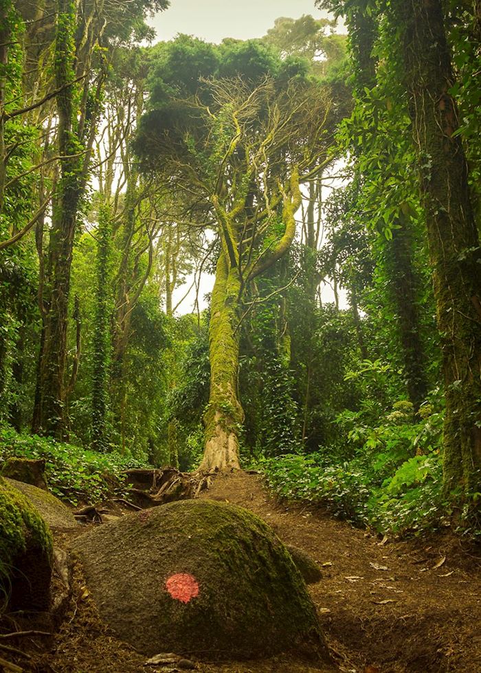 National park, Sintra
