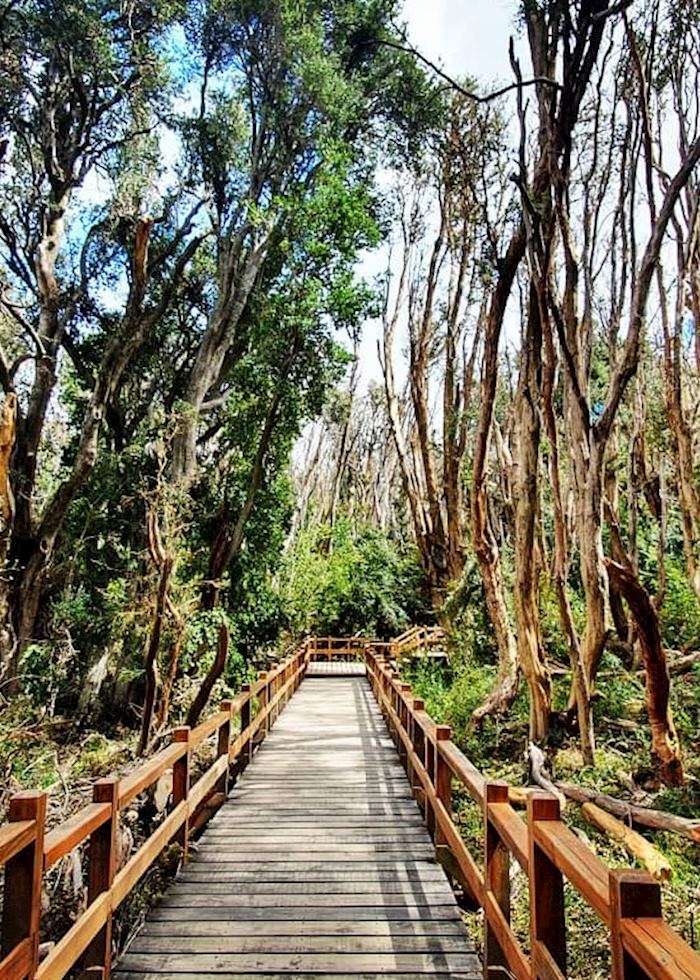 Walking trails in Villa La Angostura