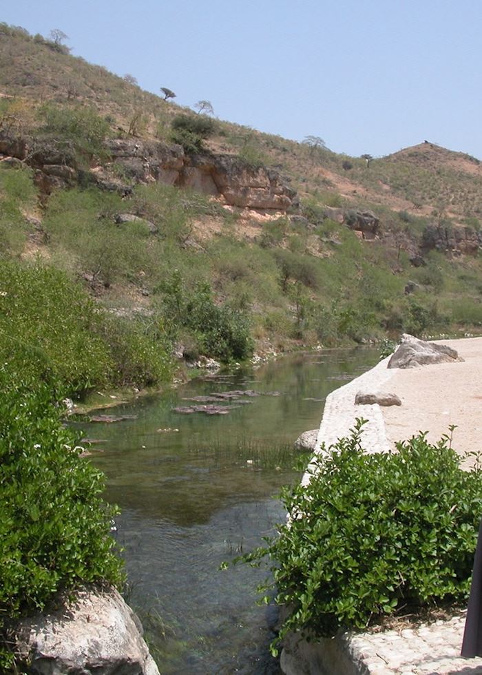 Ayn Razzaq, near Salalah