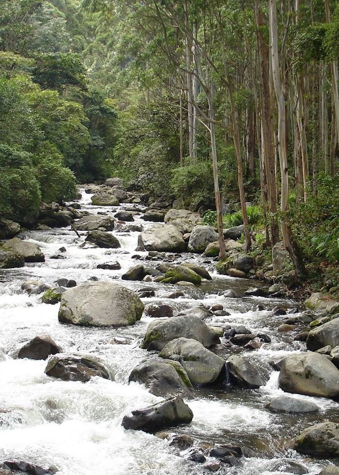 Chagras river, Boquete