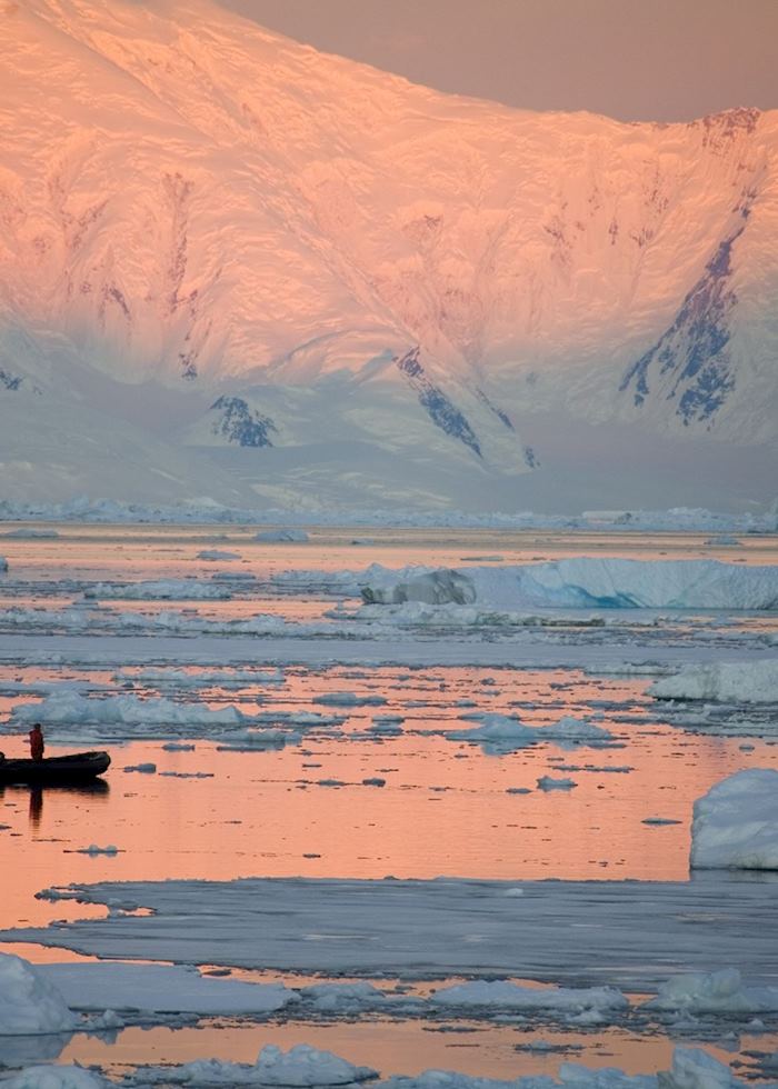 A polar scene