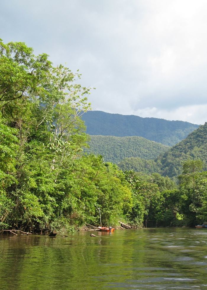 The Tutoh River winds through Mulu National Park