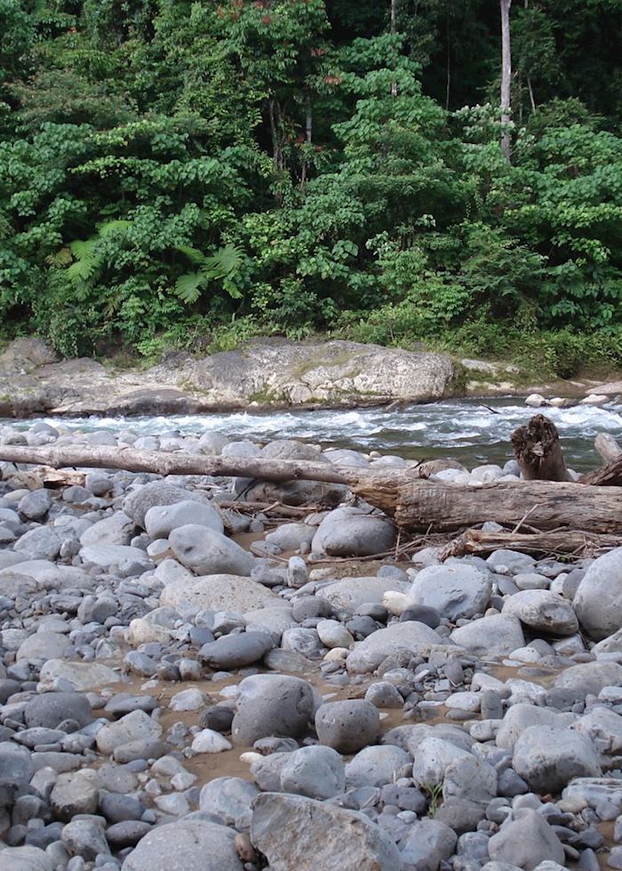 Bukit Lawang, Indonesia