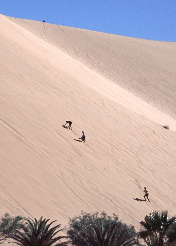 Dune boarding near Swakopmund