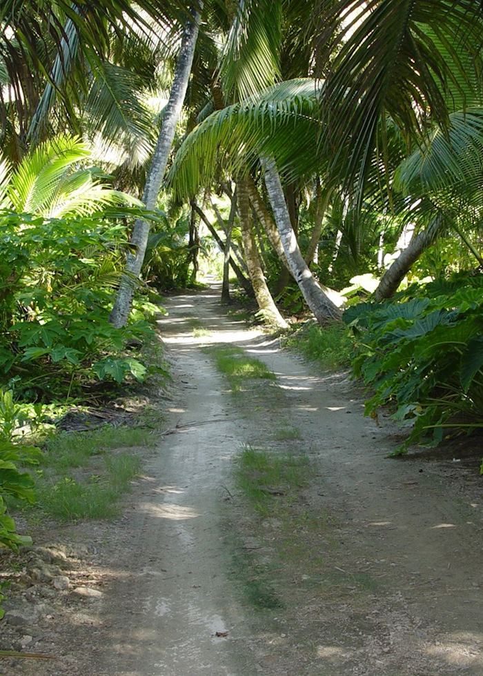 An island path on Bird Island