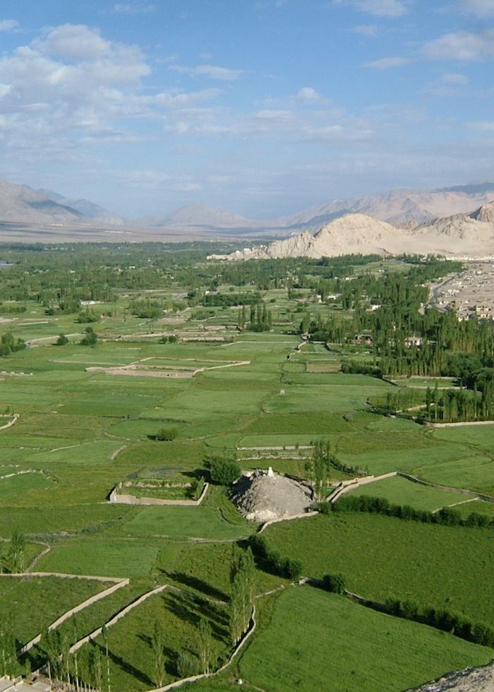 Ladakhi landscape