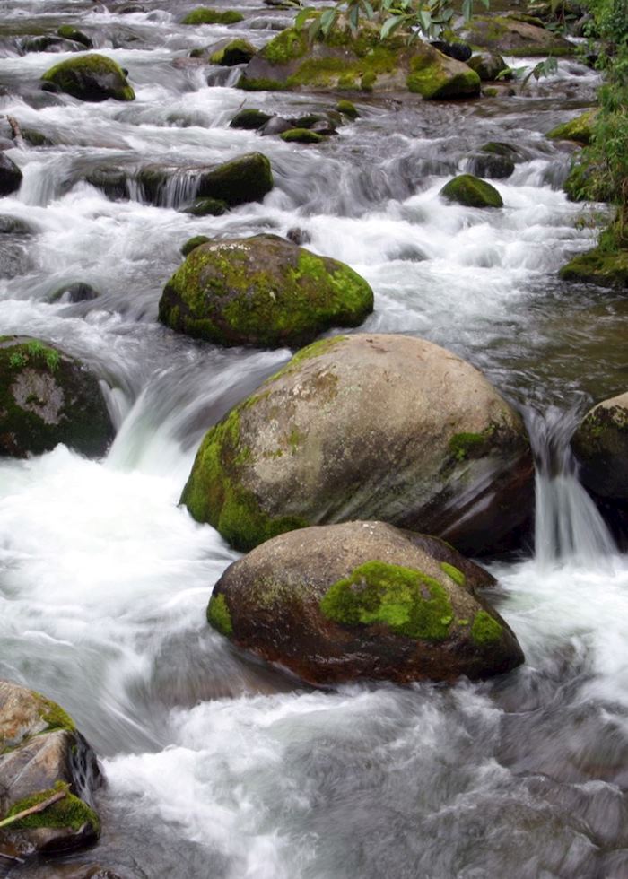Rio Savegre, San Gerardo de Dota, Costa Rica
