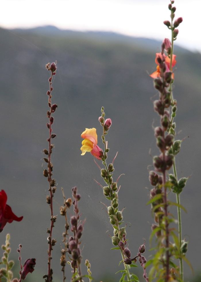 Leymebamba, Peru