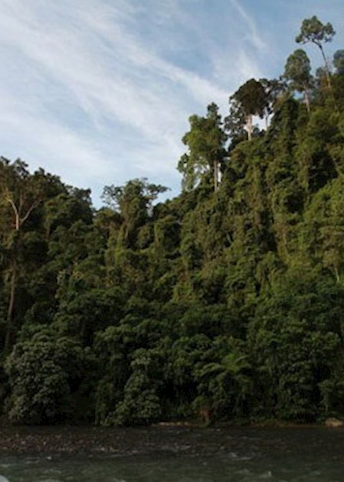 Bukit Lawang National Park, Indonesia