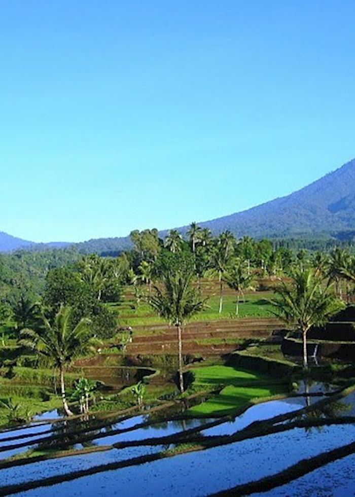 Scenery inland from Medewi, Indonesia