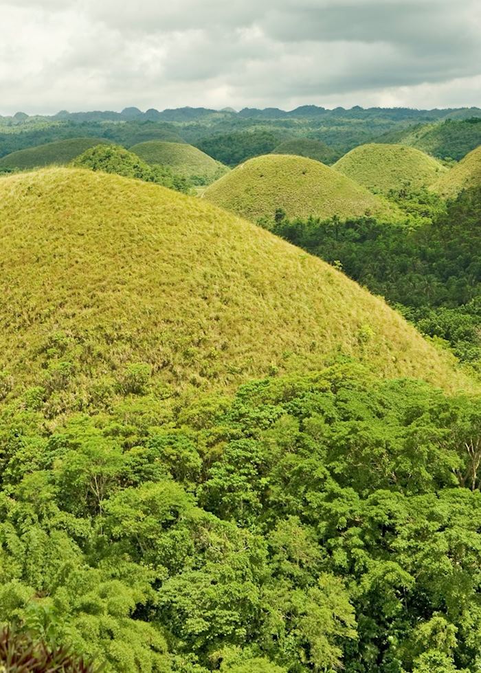Chocolate Hills, Bohol, Philippines