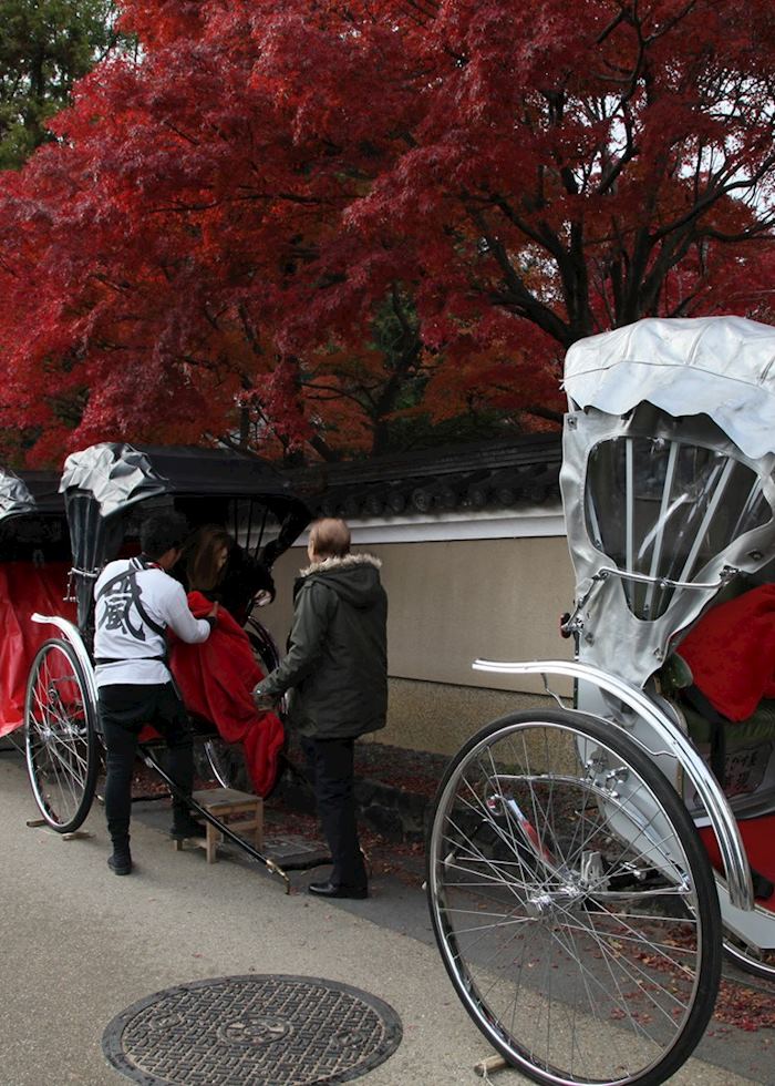 Rickshaws in autumn