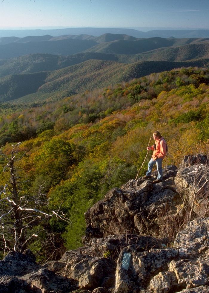 Walking in Shenandoah National Park near Charlottesville