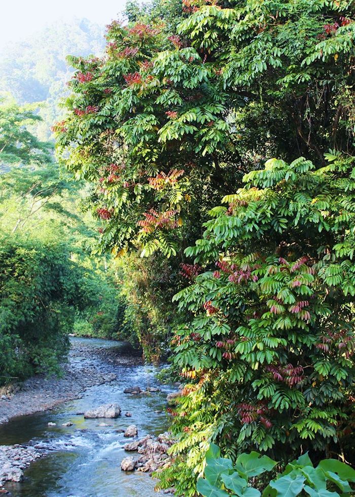 Tangkahan, Indonesia