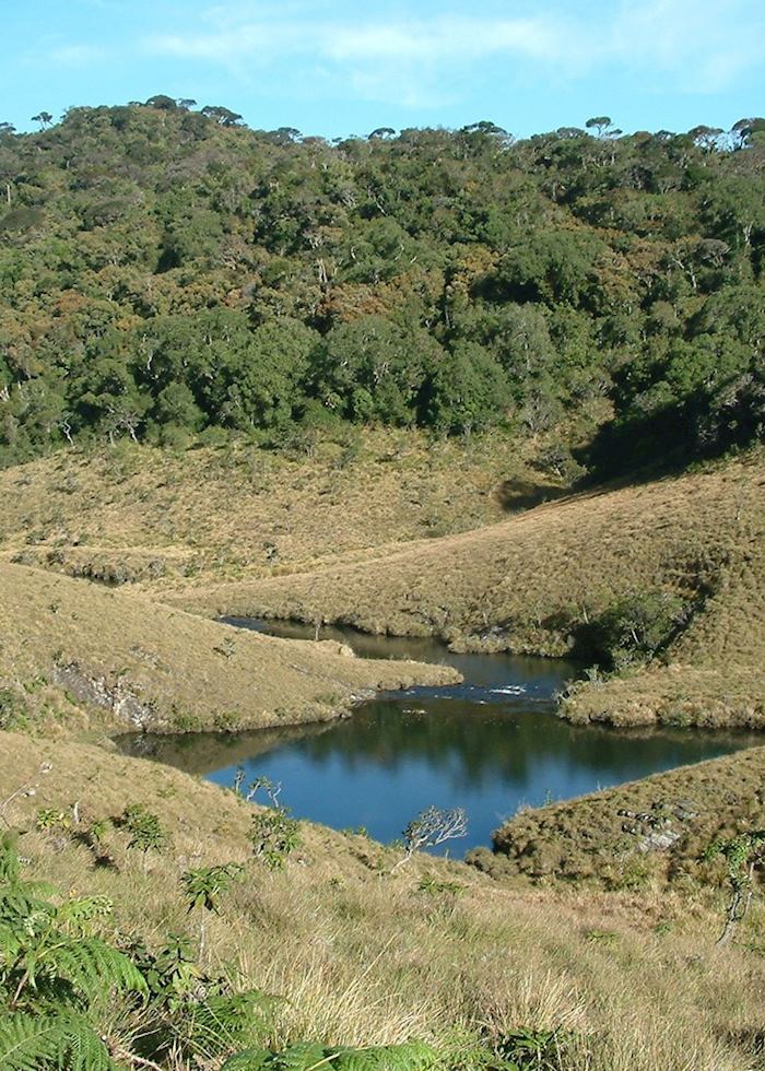 Horton Plains
