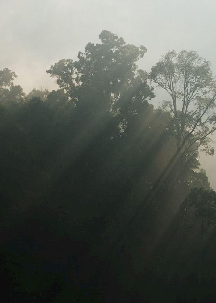 Khao Sok National Park,Thailand