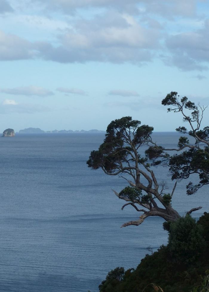 View from Te Pare Reserve, Hahei, Coromandel Peninsula,New Zealand