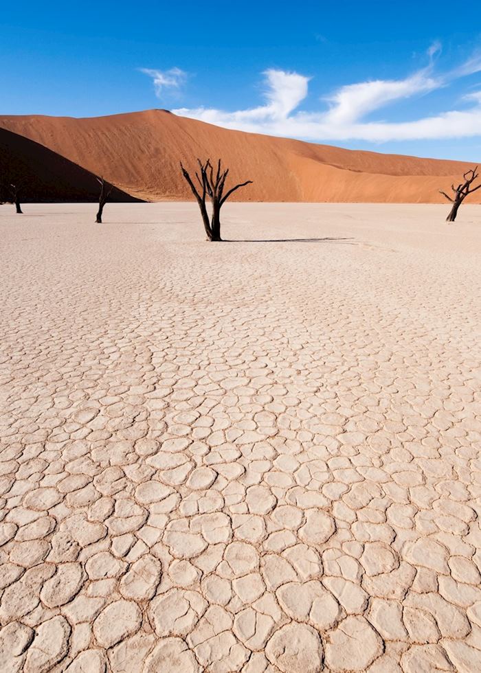 Dead vlei pan at Sossusvlei, Namibia