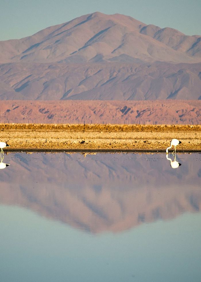 Altiplanic Lagoons, Atacama