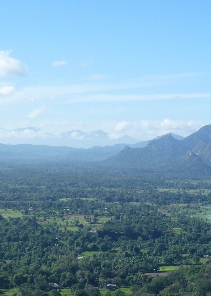 The view from Sigiriya