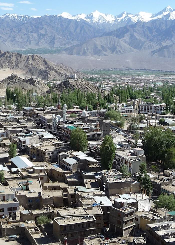 View of Leh from Leh Palace