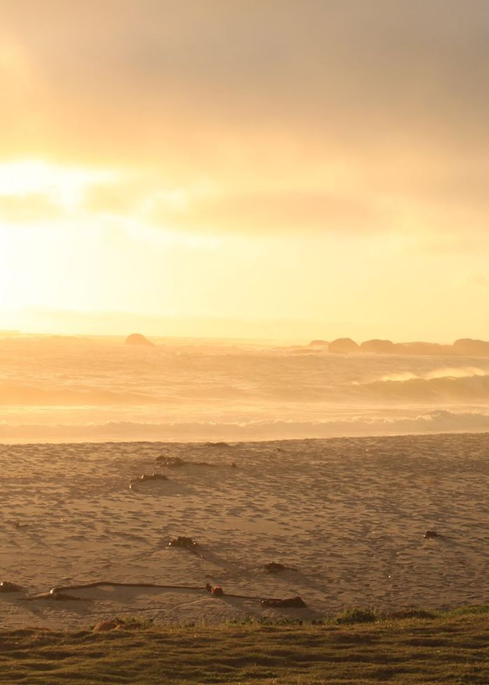 Camps Bay at sunset
