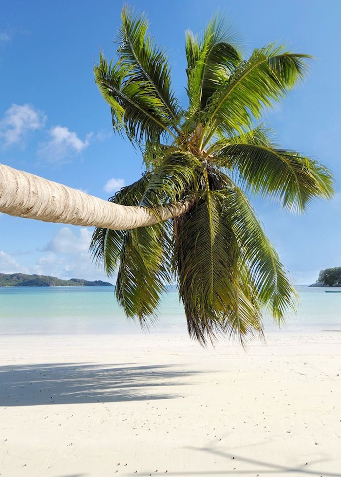 Cote D'Or beach, Praslin, Seychelles