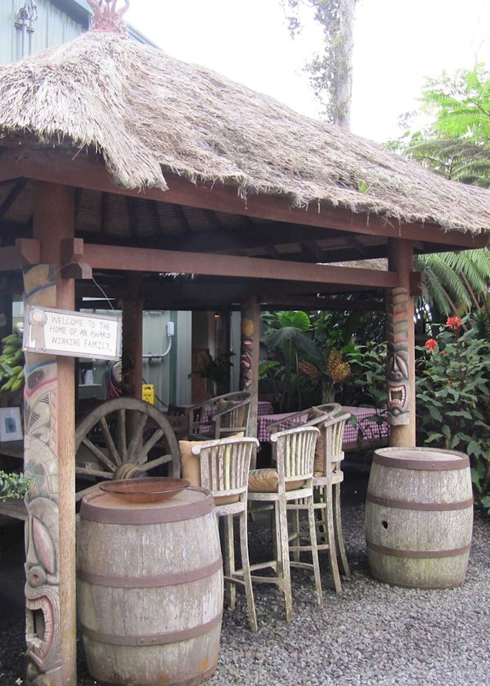 Coffee Plantation in Kona, Hawaii (Big Island)