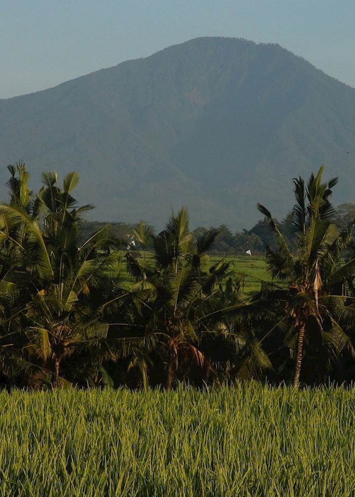 Ubud area,Indonesia