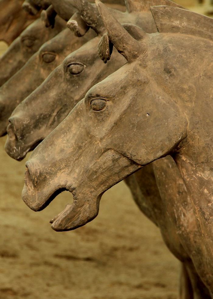 Terracotta horses, Xian