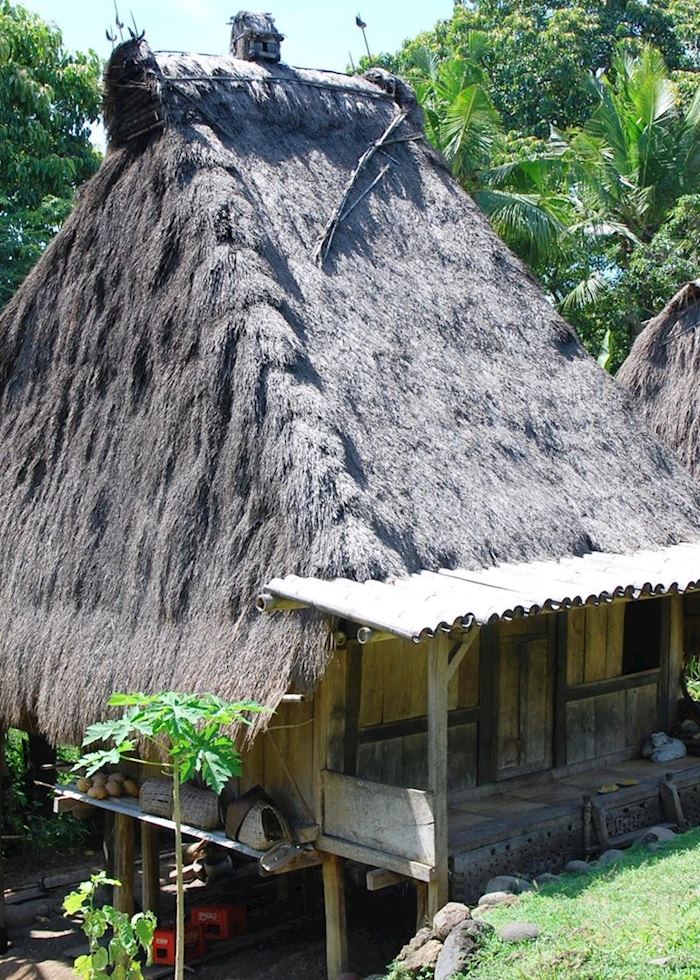 Belaraghi, Flores
