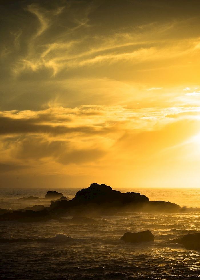 Point Lobos State Reserve, California