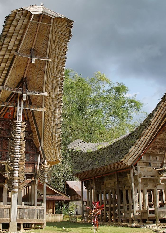 Traditional village houses, Tana Toraja, Indonesia