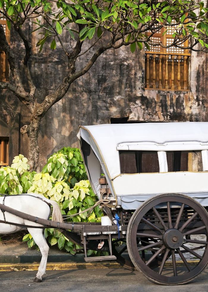 Horse and cart, typical transport in Intramuros, Manila