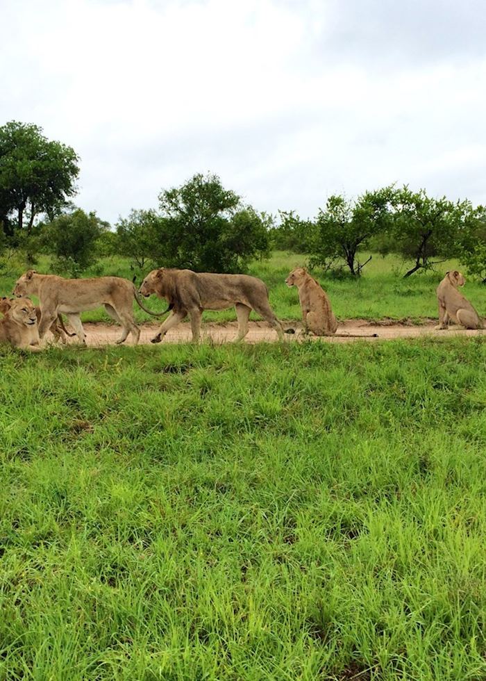 The Sabi Sand Wildtuin Reserve, South Africa