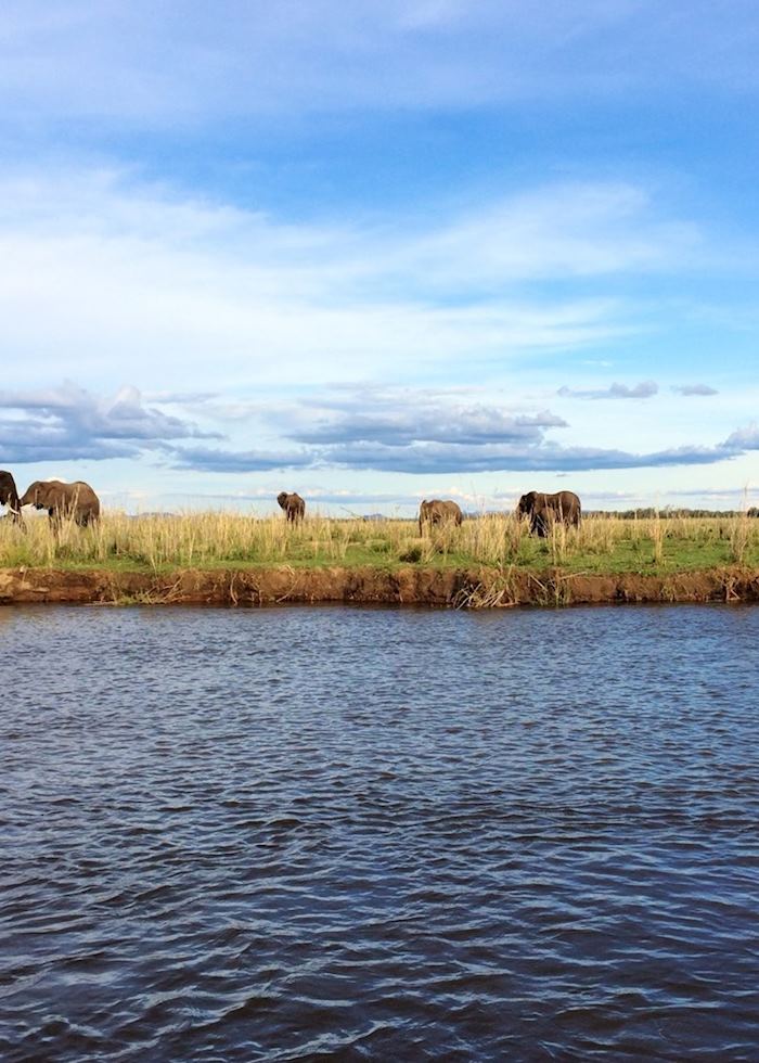 Lower Zambezi, Zambia