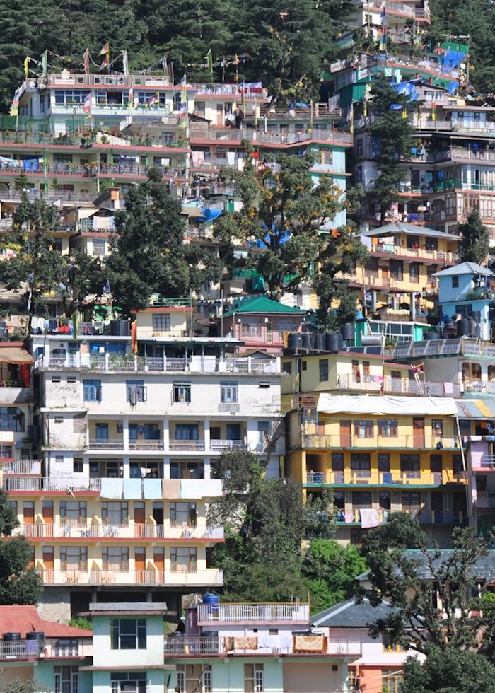 Houses in McLeod Ganj, near Dharamshala