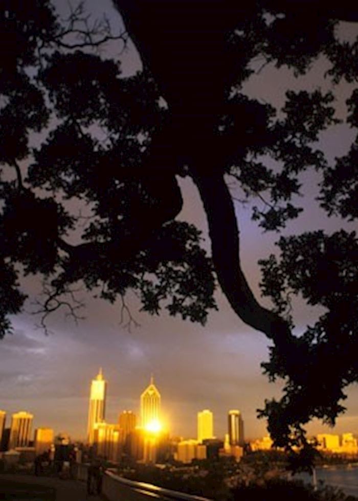 Night views from Kings Park