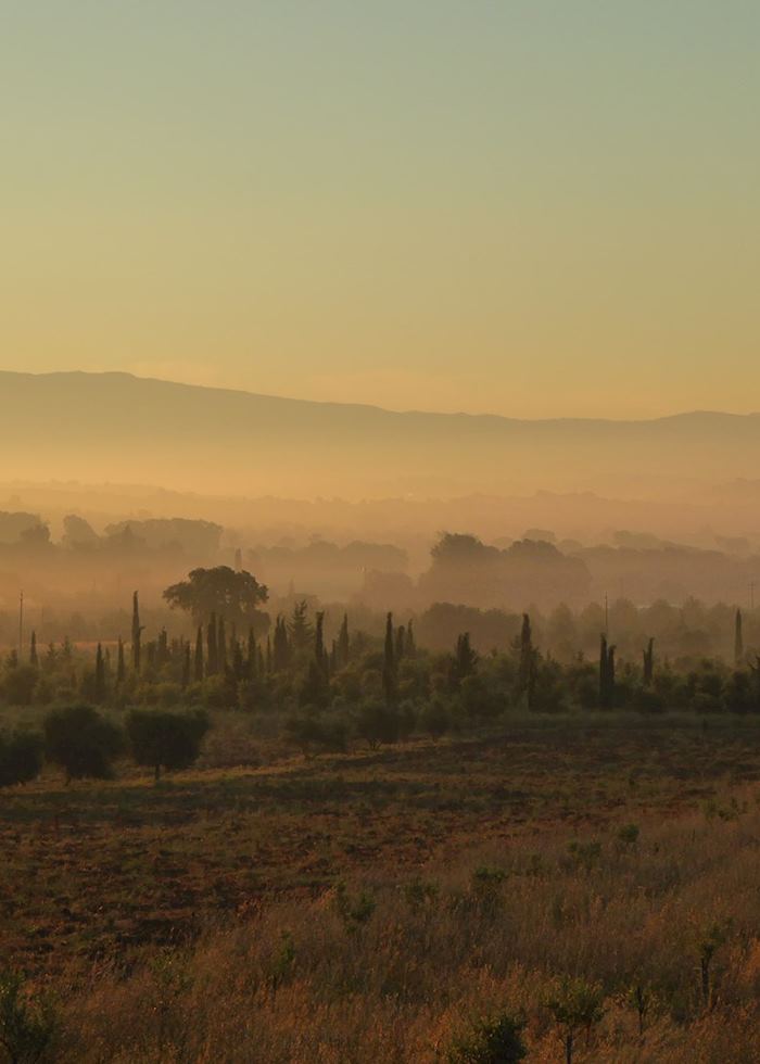 Misty morning, Tuscany