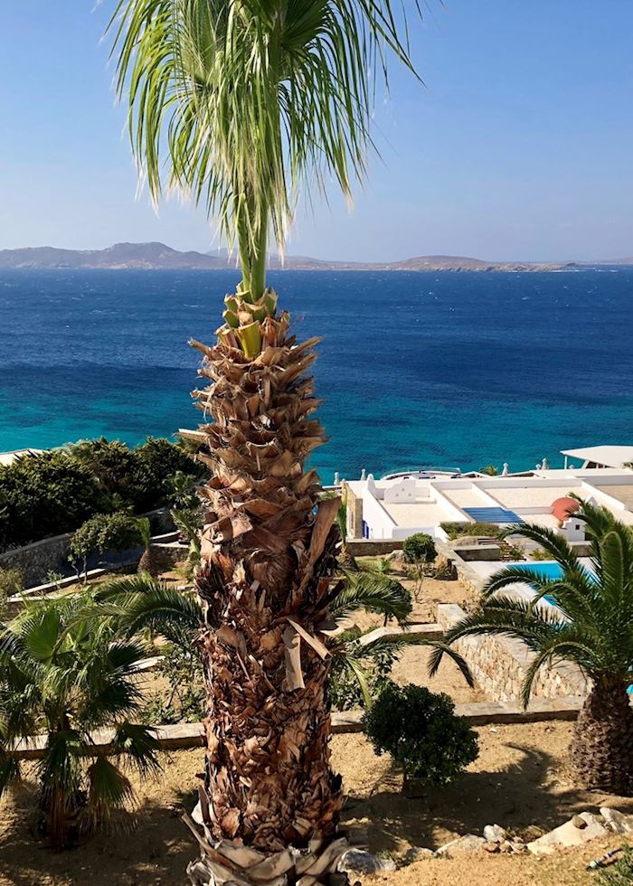 View from Agios Ioannis, Mykonos