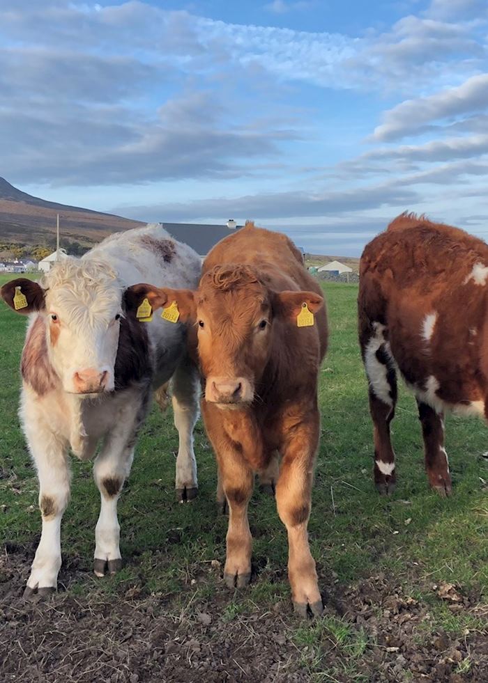 County Donegal