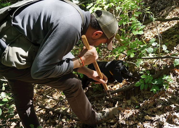 Truffle hunting dog and his handler, Tuscany