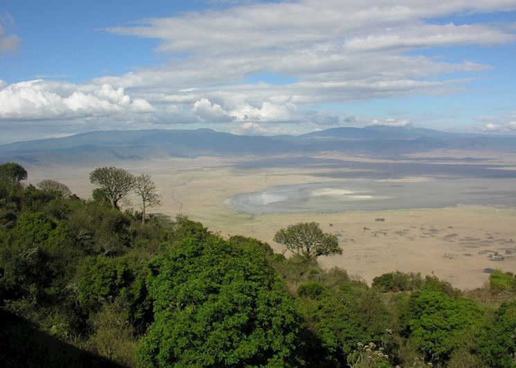 Ngorongoro Crater