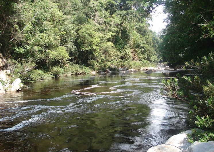 Visit Taman Negara National Park | Tailor-Made Trips | Audley Travel UK