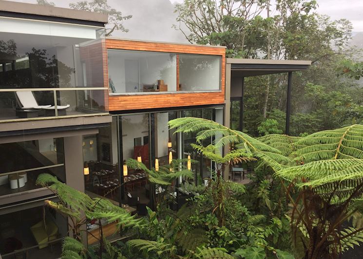 Mashpi Lodge, Ecuadorian cloudforest
