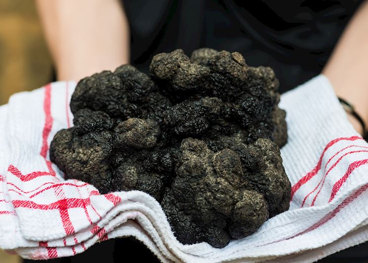 Truffles, Provence