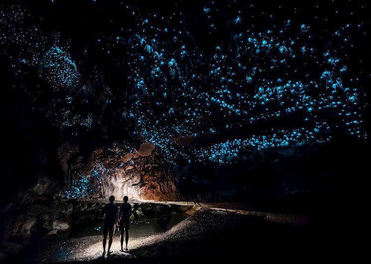 Waitomo glow worm caves