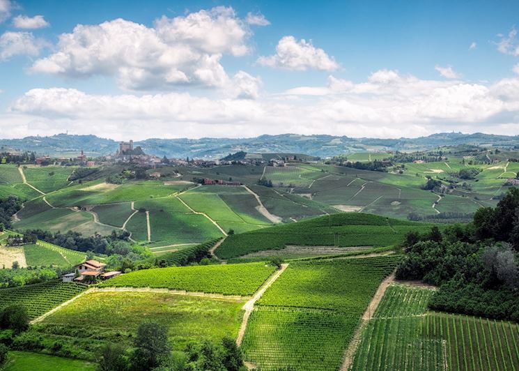 Piedmont countryside, Langhe