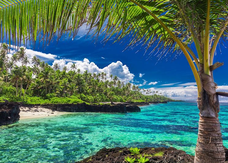 Upolu Coral Reef